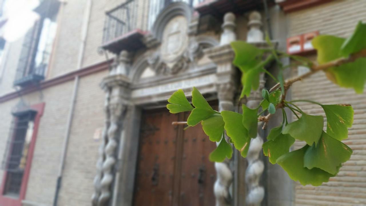Apartmán Patio San Jeronimo Casa De Arte Granada Exteriér fotografie